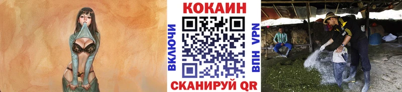 купить наркотики сайты  нарко площадка телеграм  COCAIN VHQ  Нея  мега зеркало 
