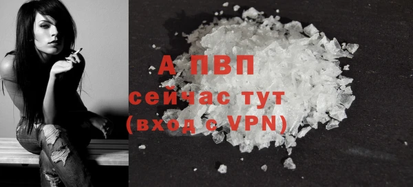 молекула духа Волоколамск