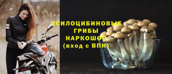 молекула духа Волоколамск