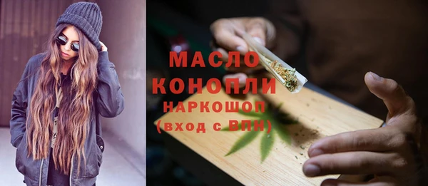 молекула духа Волоколамск