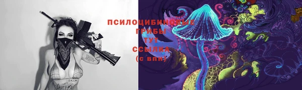 молекула духа Волоколамск