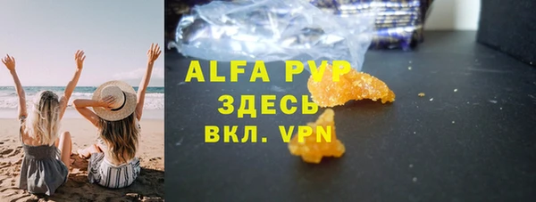 гидра Володарск