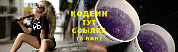хмурый Верея