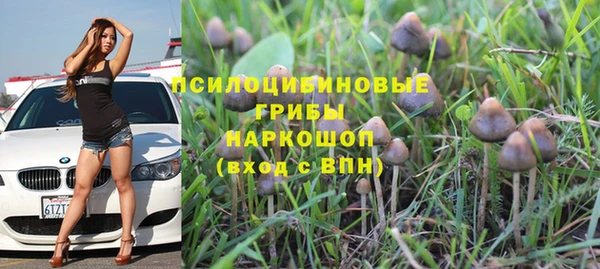Альфа ПВП Волосово
