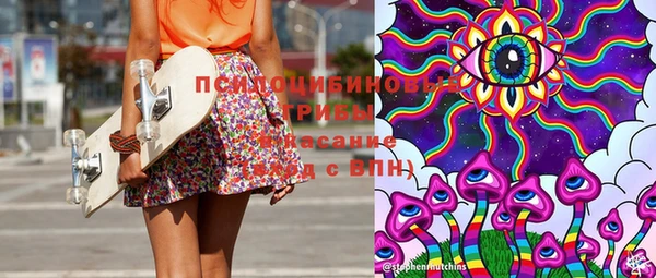 молекула духа Волоколамск
