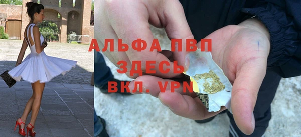 гидра Володарск
